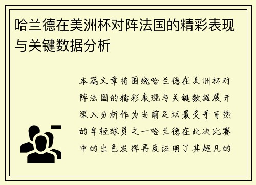 哈兰德在美洲杯对阵法国的精彩表现与关键数据分析