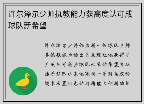 许尔泽尔少帅执教能力获高度认可成球队新希望
